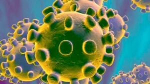 Вірусолог: “Паніка довкола китайського коронавірусу здебільшого надумана”